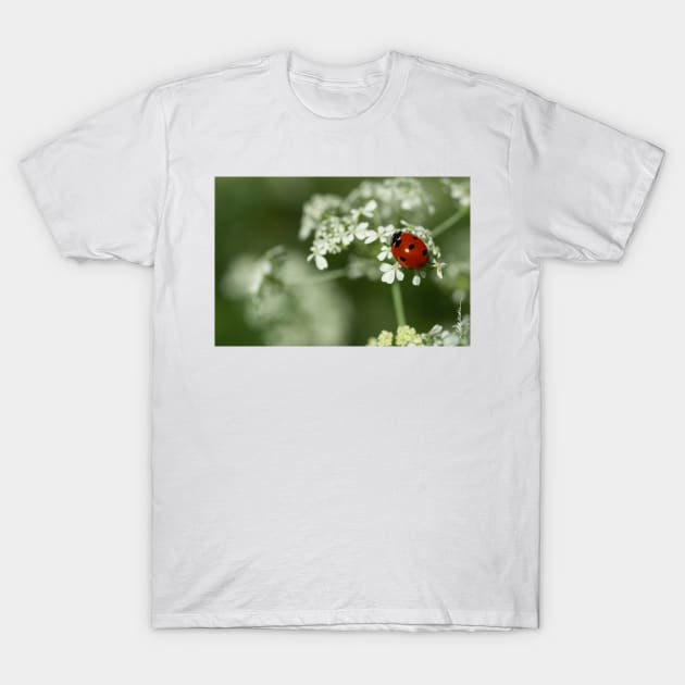 Ladybug & Hemlock T-Shirt by srwdesign